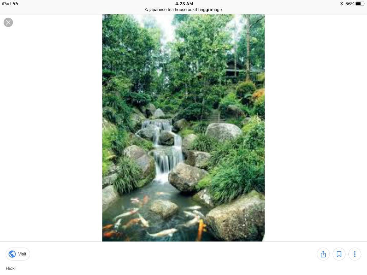 Bukit Tinggi Berjaya Hill Homestay Exterior foto